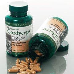 Cordyceps CS-4